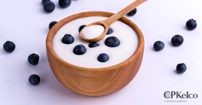 a bowl of plant-based yogurt with blueberries made with CP Kelpo ingredients