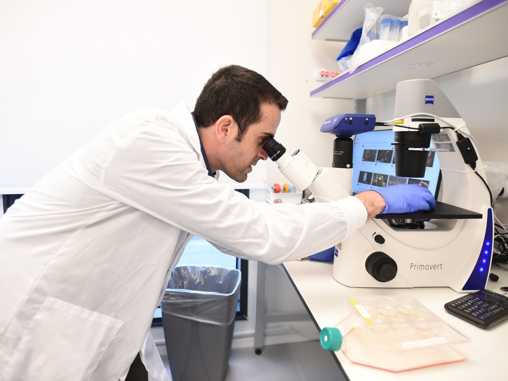 Wilk Scientist Lab