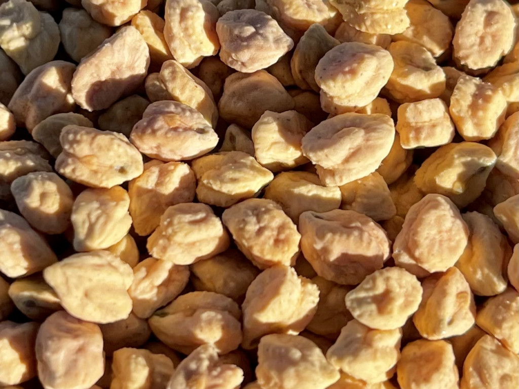 NuCicer raises $4.5 million