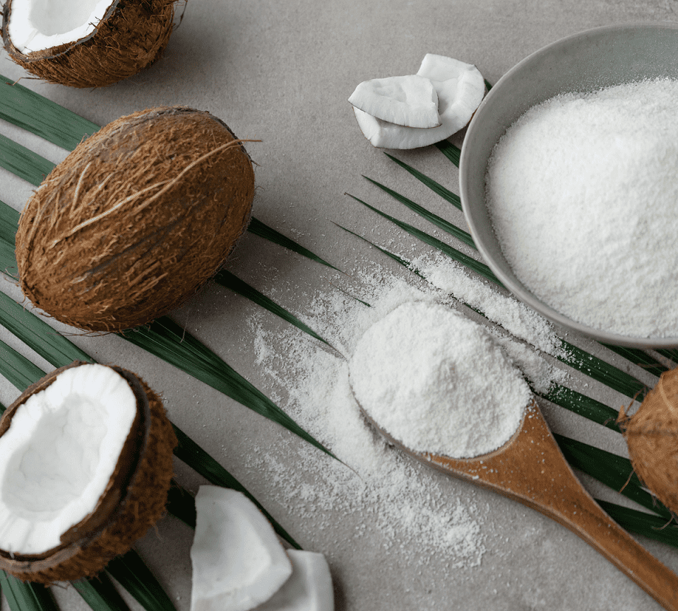coconut milk powder