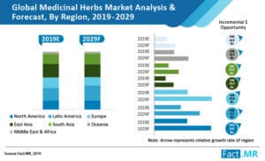 Global medicinal herbs market fakt mr
