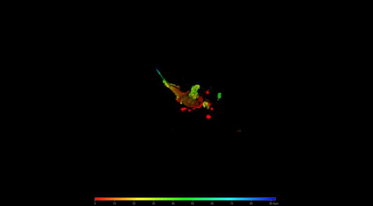 Hairfollicle staining ©Furoid SE
