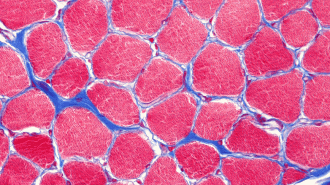 ©TurtleTree Scientific ©TurtleTree Scientific
