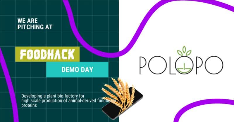 PoLoPo's pitching banner for demo day