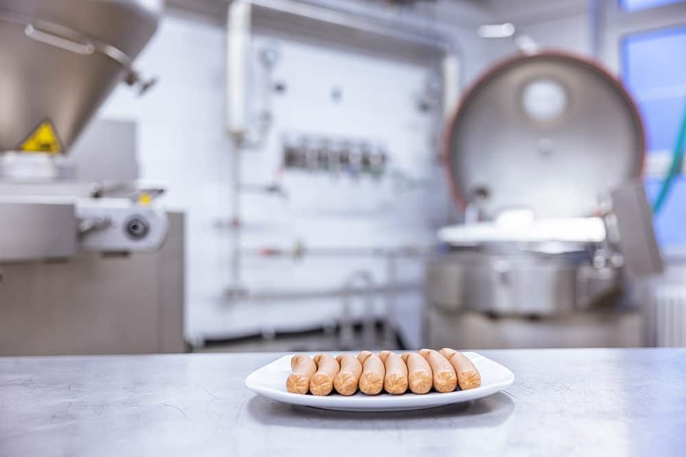 KaTech Ingredient Solutions GmbH sausages