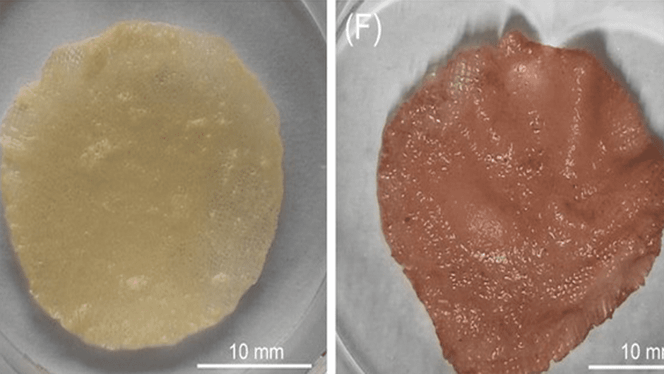 Plant-based ink for 3D-printing