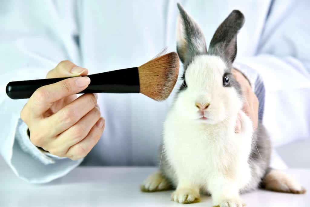  cruelty-free-vegan-beauty