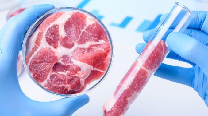 lab meat lab meat