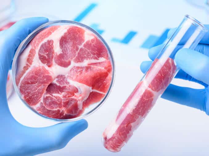 lab meat