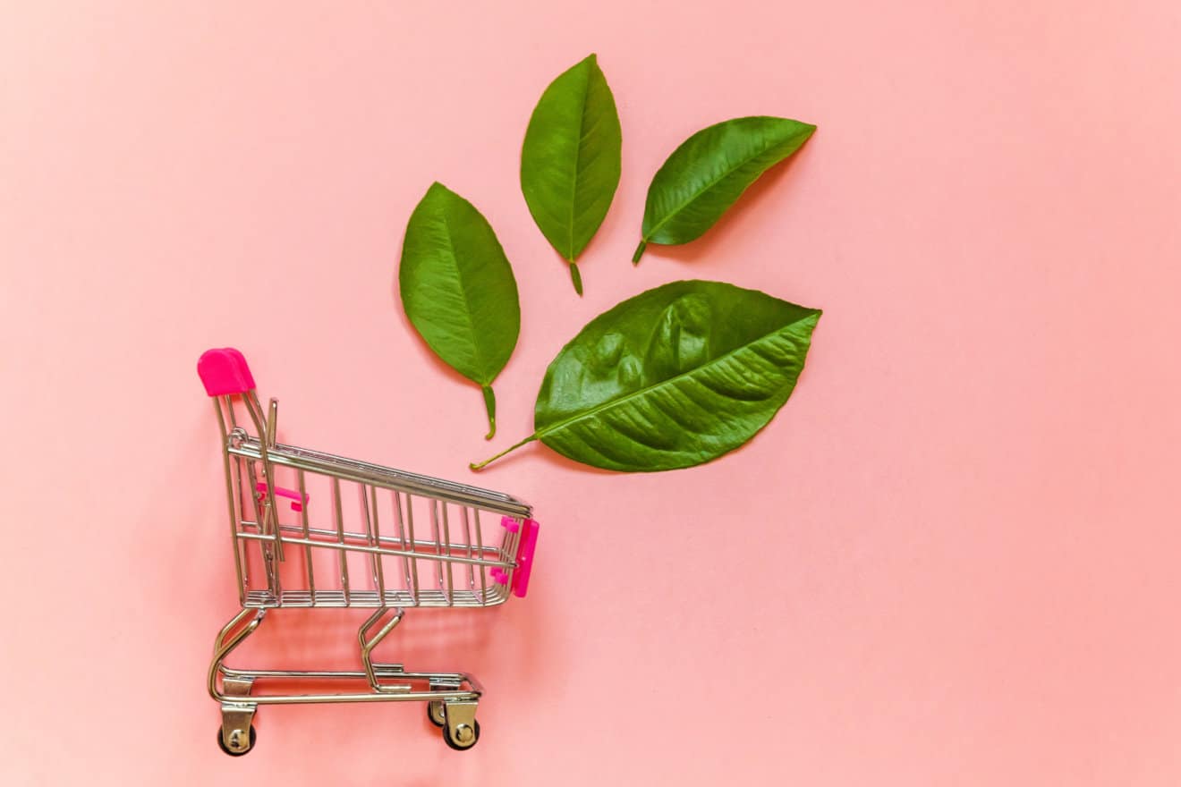 supermarket trolley