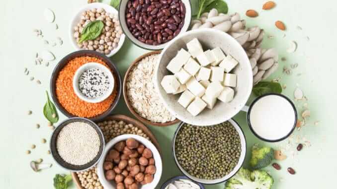 Plant protein sources Plant protein sources