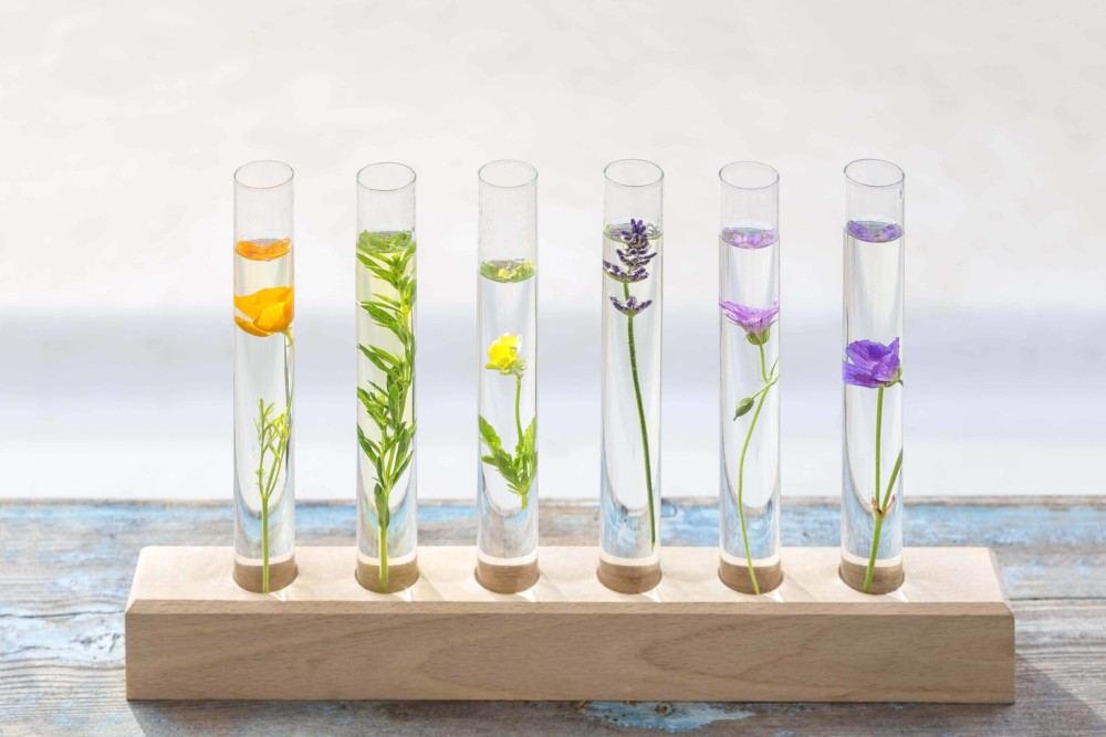 Scientists Develop "Superior" PlantBased Insulin That Can Be Taken