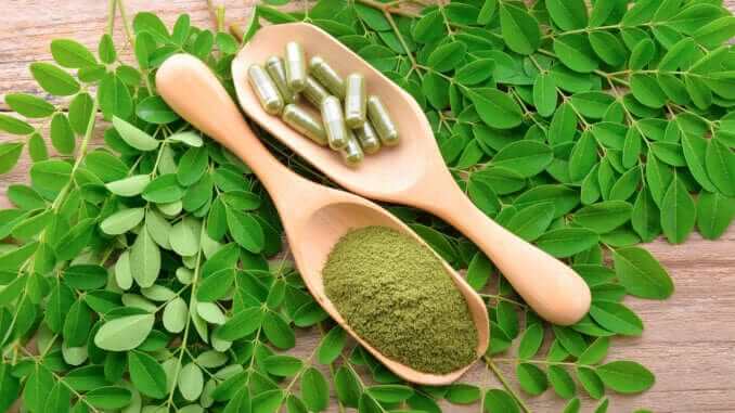 moringa leaf and powder capsule on wooden background moringa leaf and powder capsule on wooden background