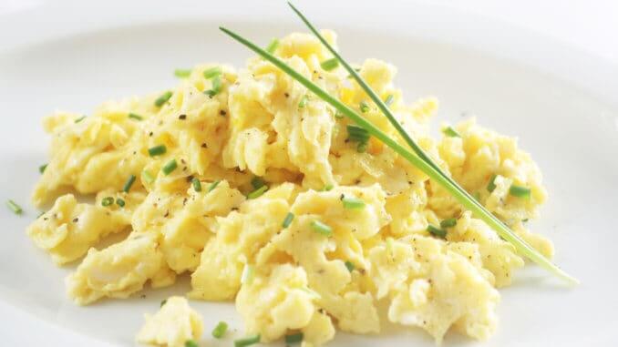 Scrambled Egg