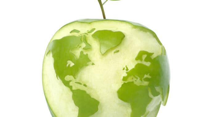 green apple with world map green apple with world map