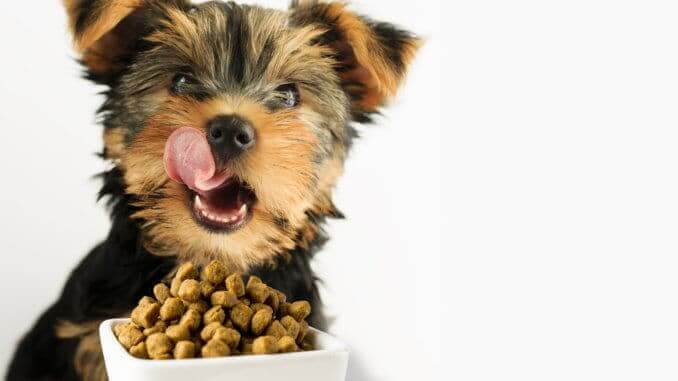 Dog puppy food Dog puppy food