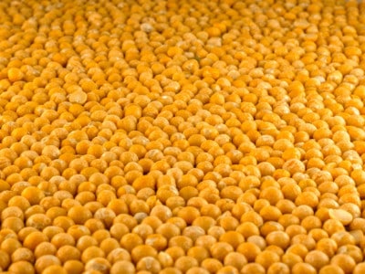 yellow peas