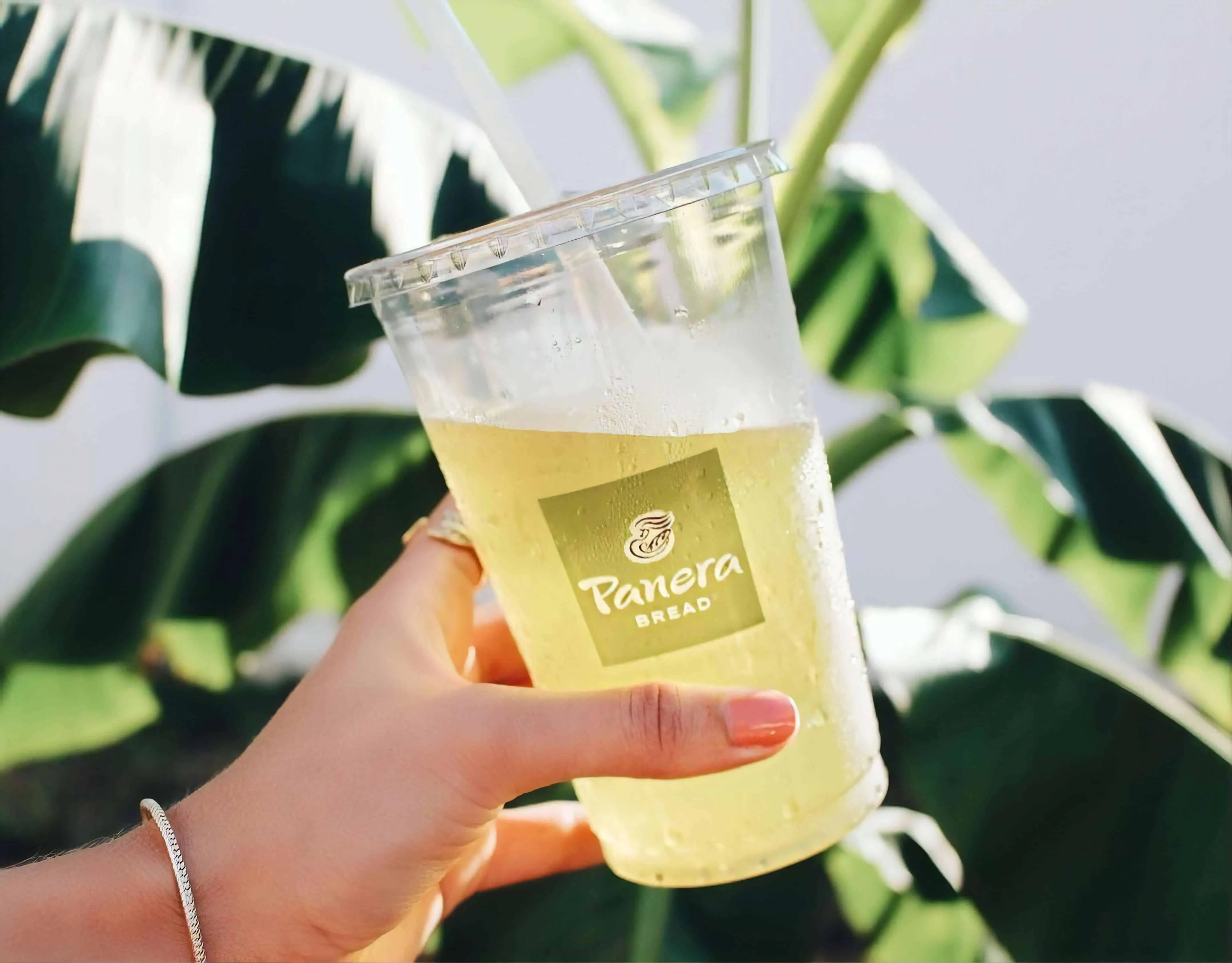 Panera Bread