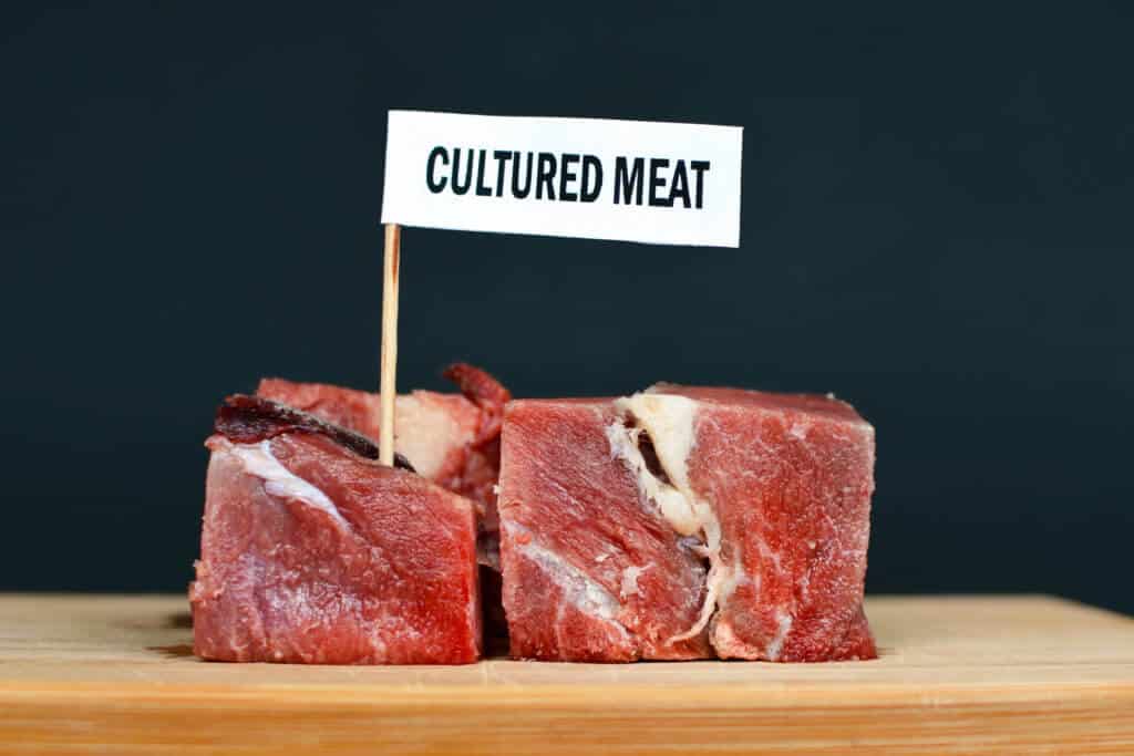 cultured meat cellbased beef