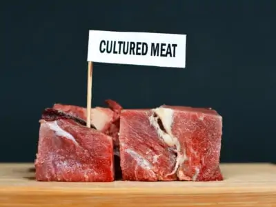 cultured meat cellbased beef