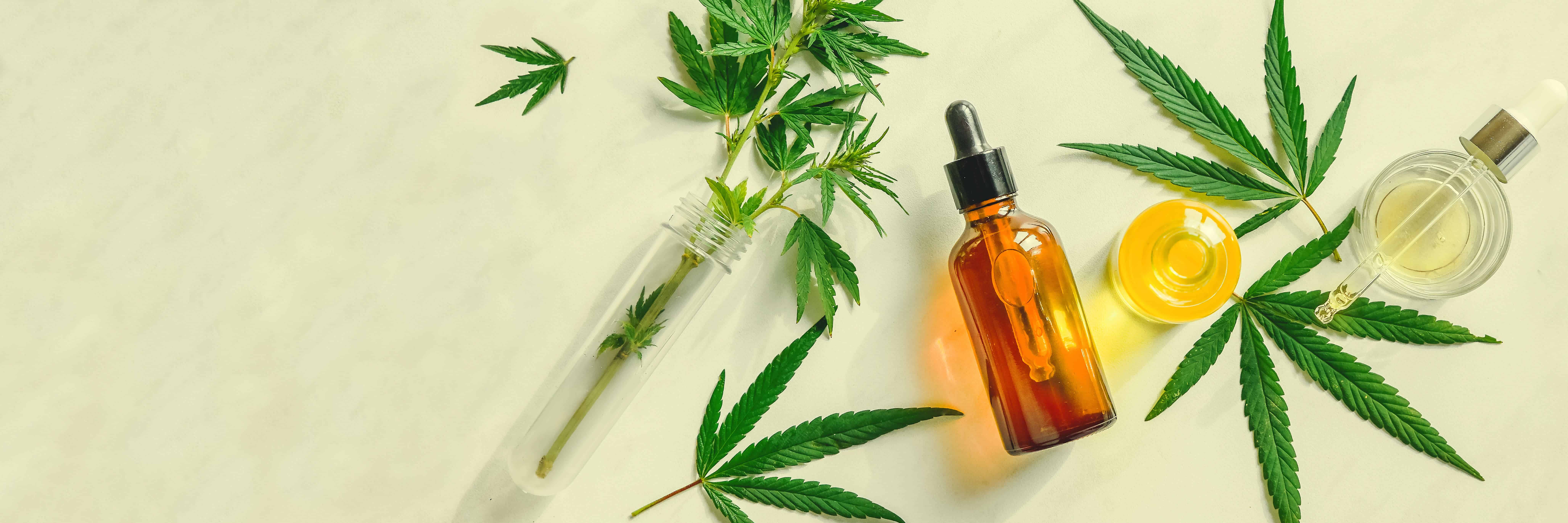 THC CDB Cannabis THC CDB Cannabis