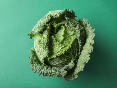 cabbage