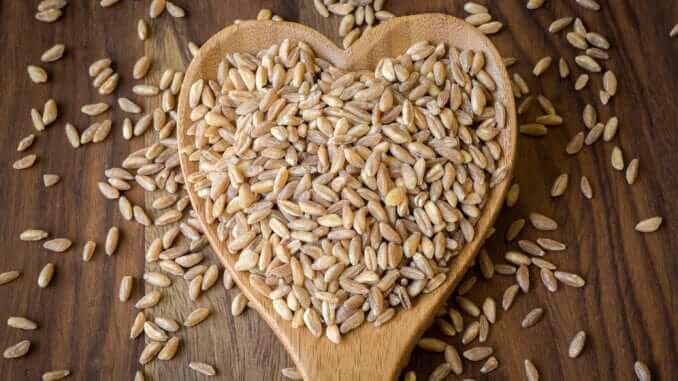 Farro