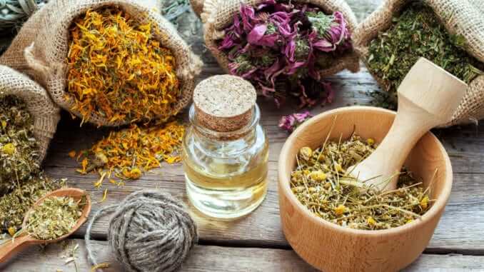 medicinal herbs medicinal herbs