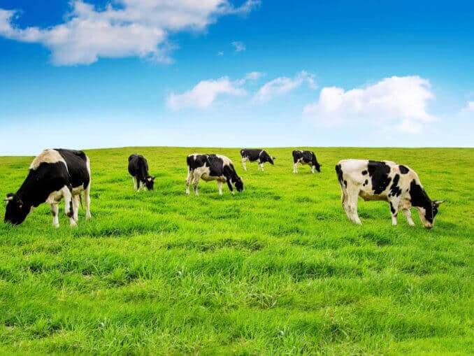 Agronomics