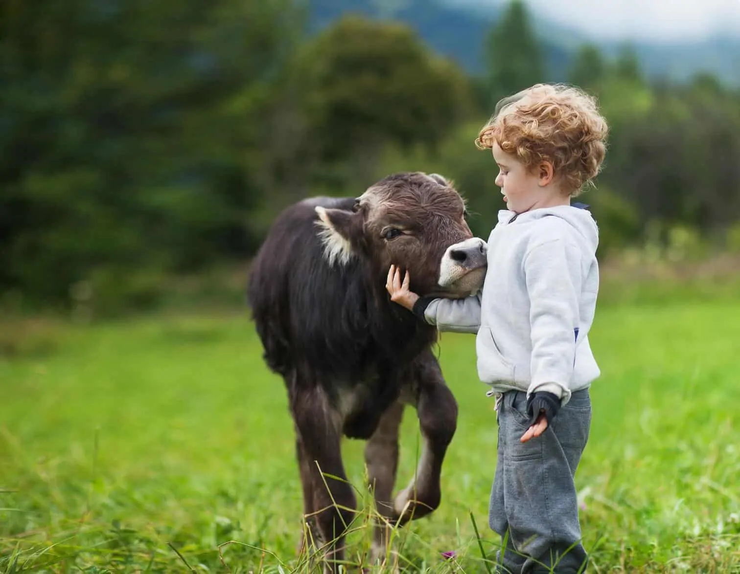 Aleph Farms Going Carbon-Neutral by 2025