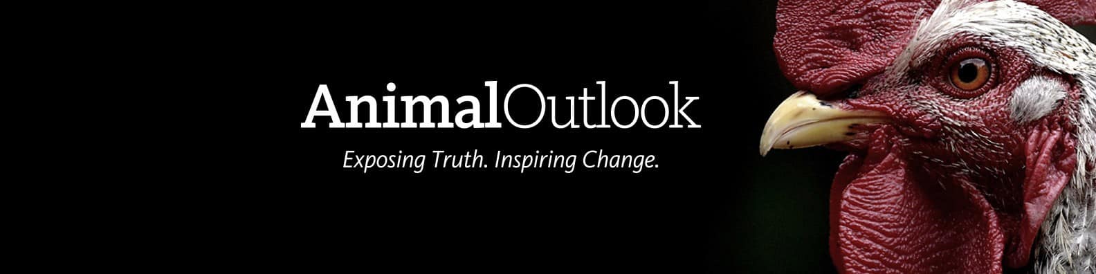 Animal Outlook logo