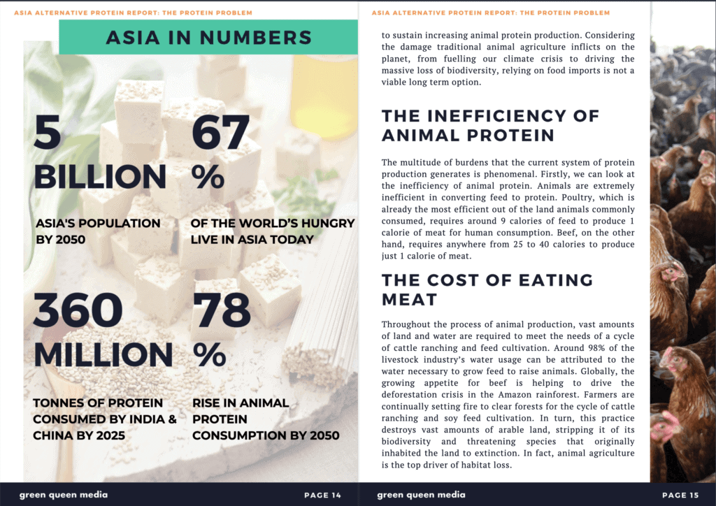 Asia Alternative Protein Report Screenshot 1 (Source- Green Queen Media)