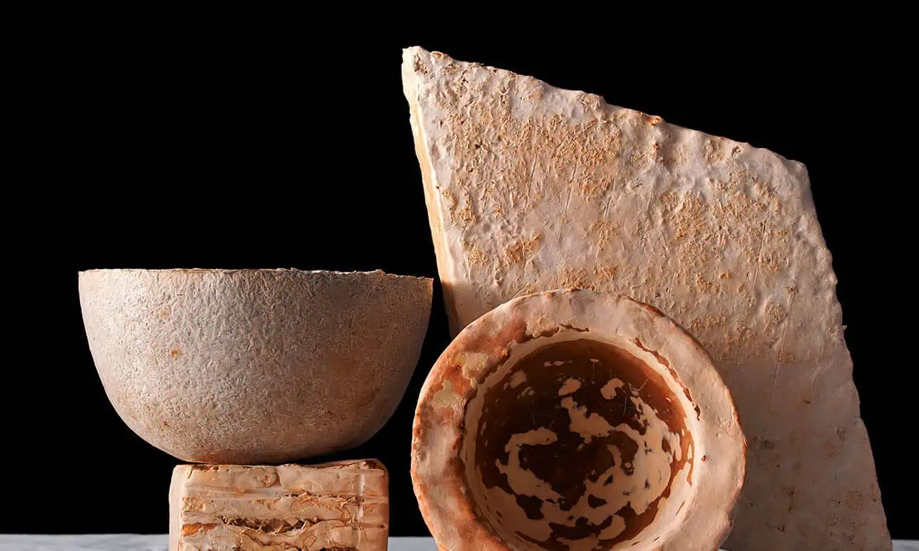 biohm's mycelium regenerative material