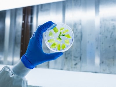 BioBetter in the lab