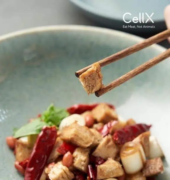 CellX cultivated chicken breast finalist at XPRIZE