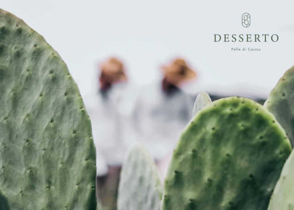 LVMH Innovation Award 2020 - Desserto