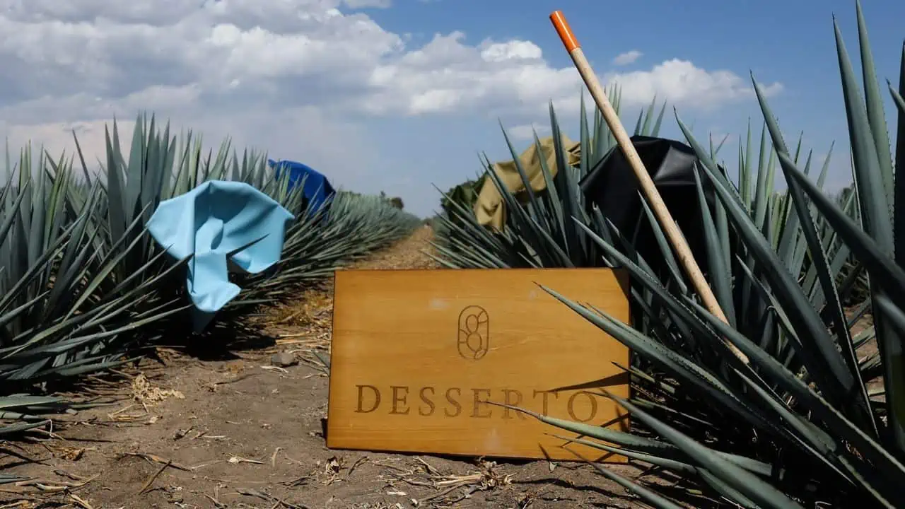 Desserto Agave, a limited edition alt leather made from agave fibers