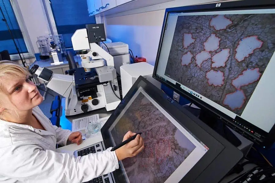 a cellzero meat scientist in a lab looking at a computer