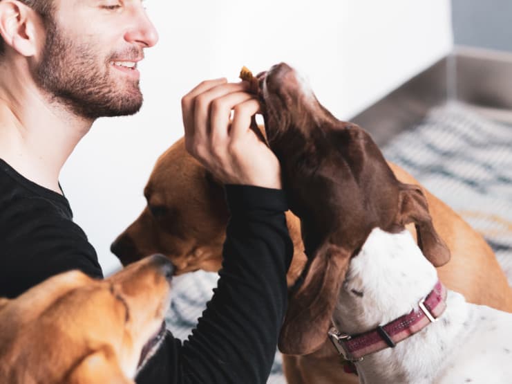 Bond Pet Foods Receives Funding from Colorado to "Revolutionise the Pet Food Space