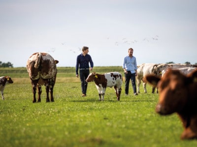 Krijn de Nood en Daan Luining, oprichters van Meatable.