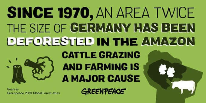 Greenpeace