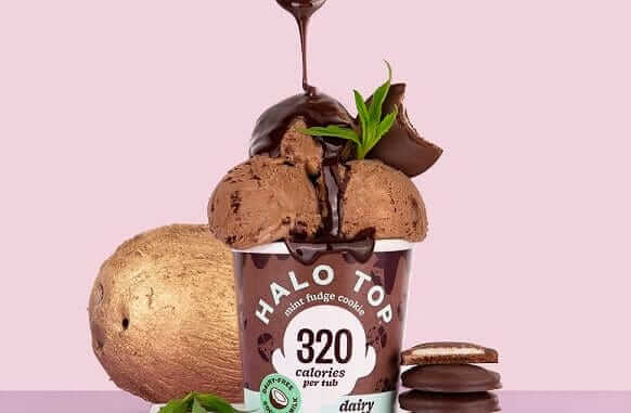 Halo Top Mint Fudge Cookies_Hero Halo Top Mint Fudge Cookies_Hero