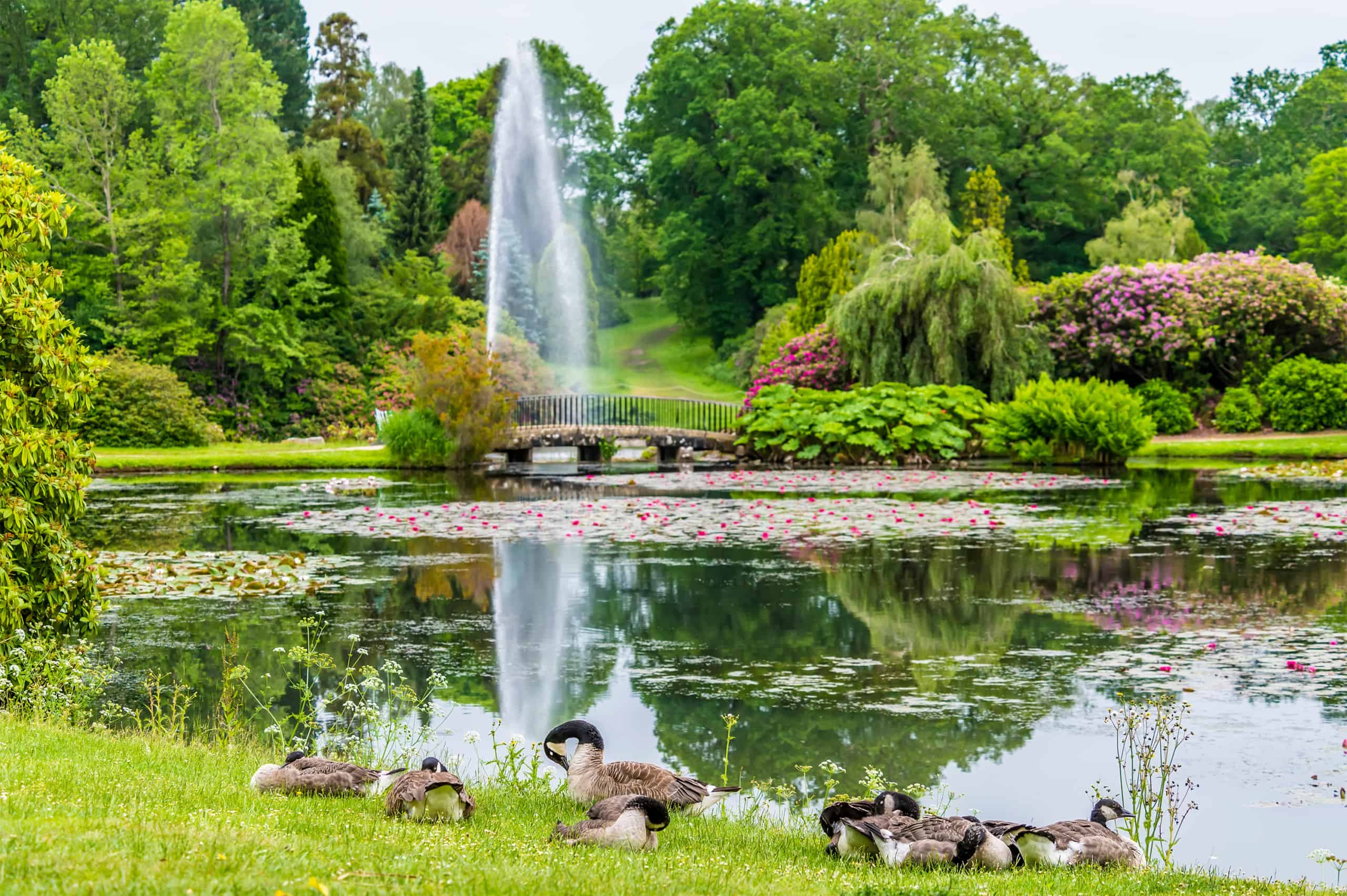 park in Haywards Heath