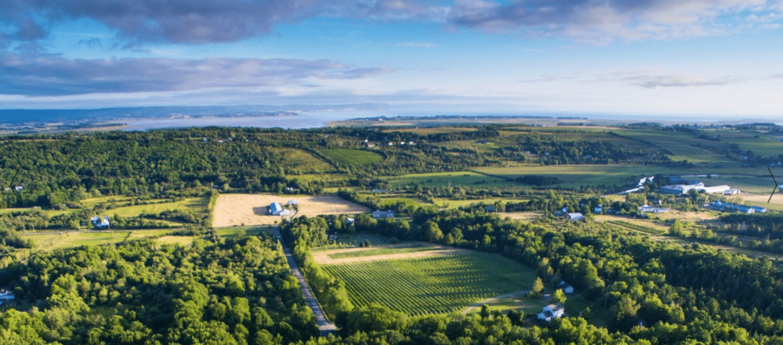 L'Acadie Vineyards 