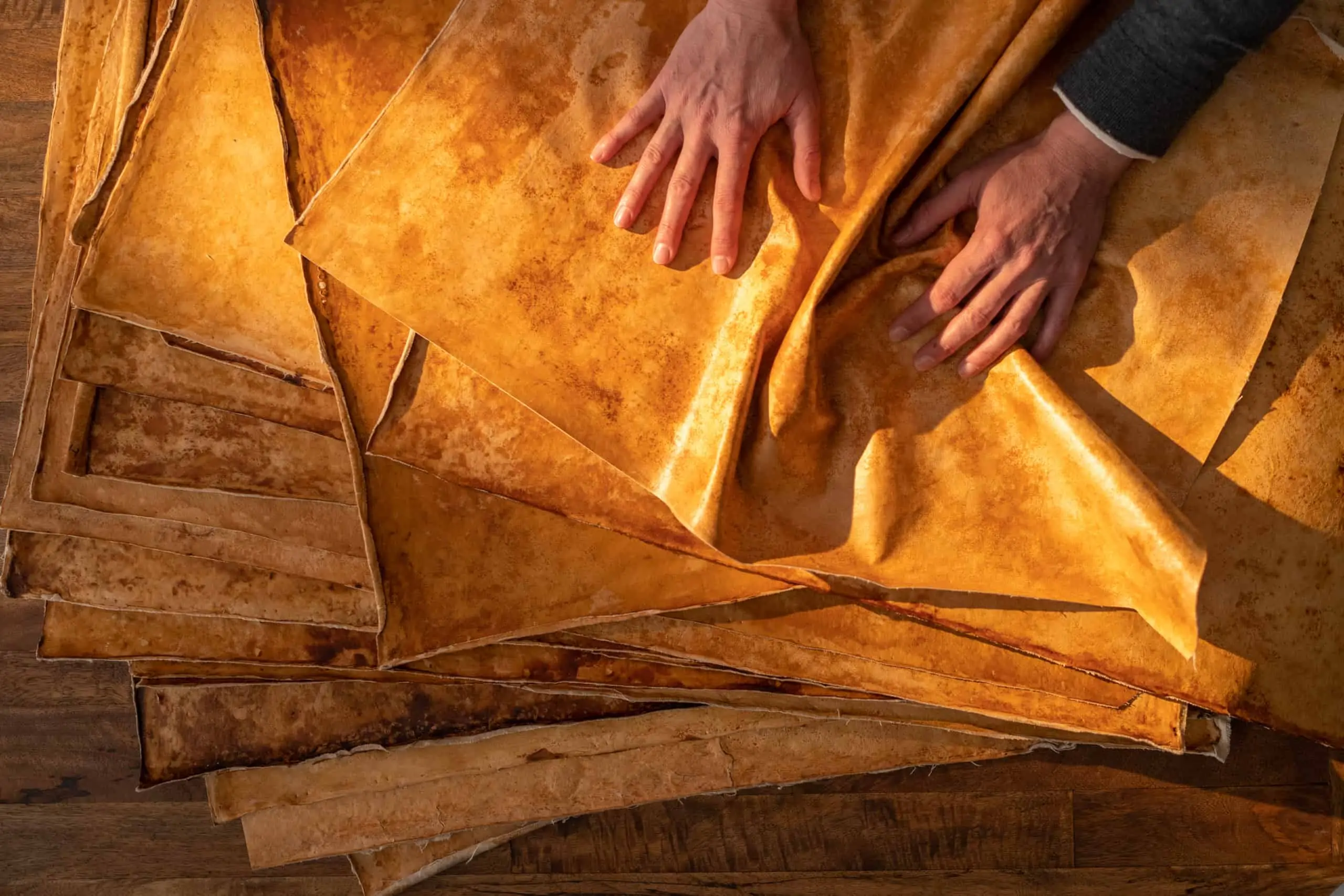 MycoWorks Raises $125 Million to Mass Produce Mushroom Leather