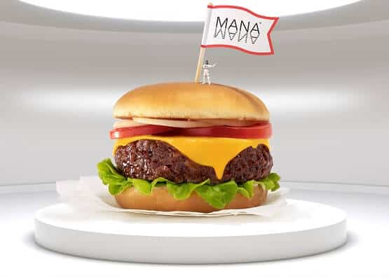 V České republice byl zvolen produkt Vegan ManaBurger roku 2020 – svět veganů