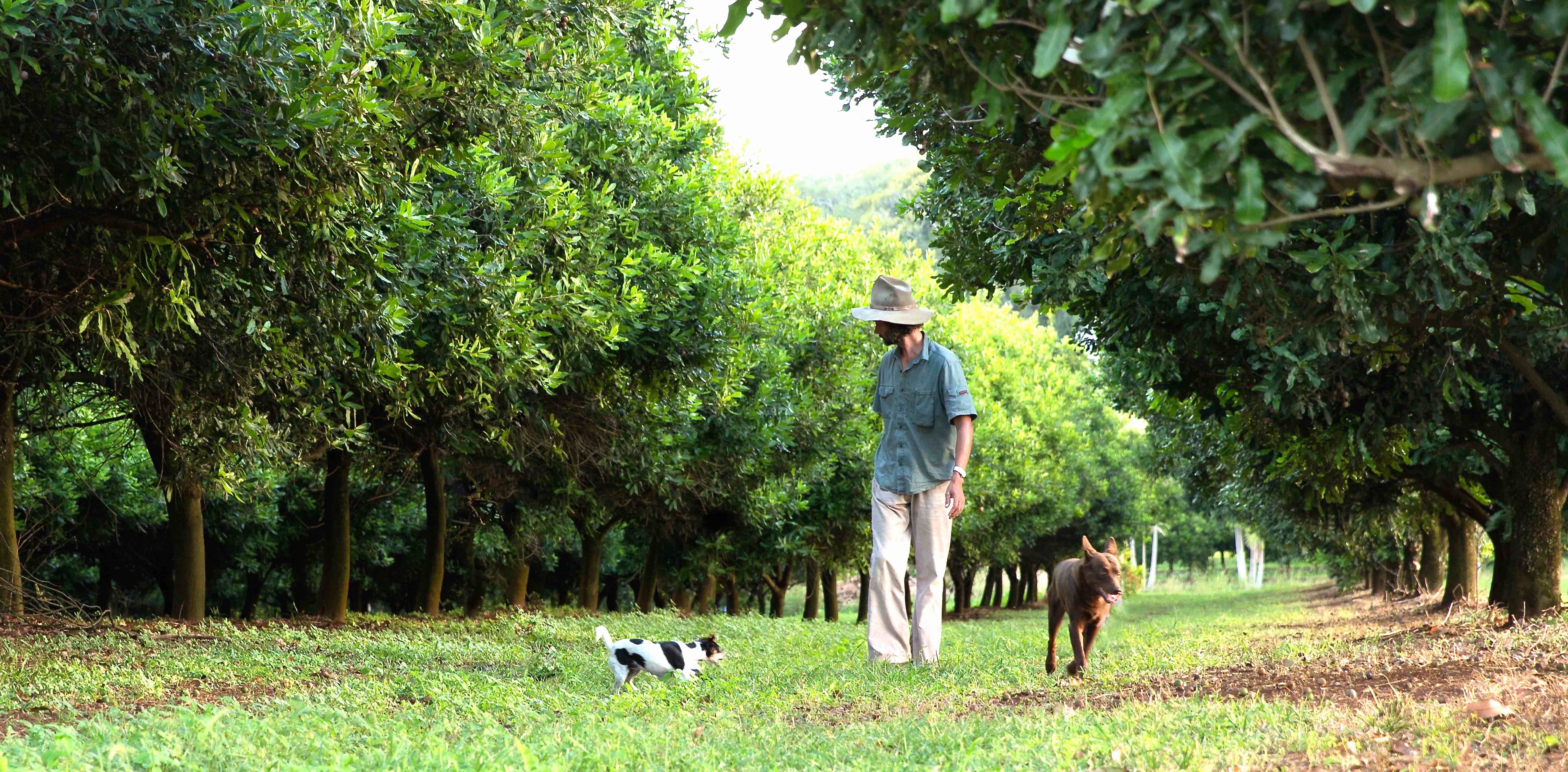 Starting From The Ground Up Is Regenerative Farming The Next Consumer Choice Vegconomist The Vegan Business Magazine