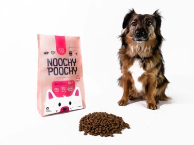 Noochy Poochy