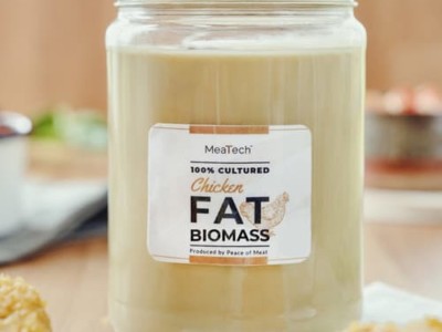 MeaTech cultured fat