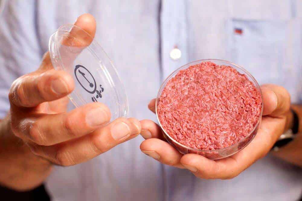 a cultivated beef hamburger in a petty dish held by a manly hands